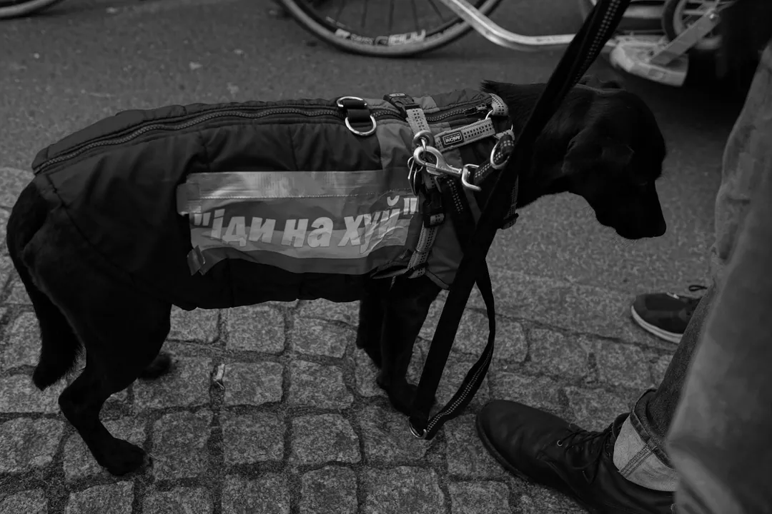 Berlin-Mitte, Berlin and elsewhere. Photograph 40 by Tigran Hovhannisyan.