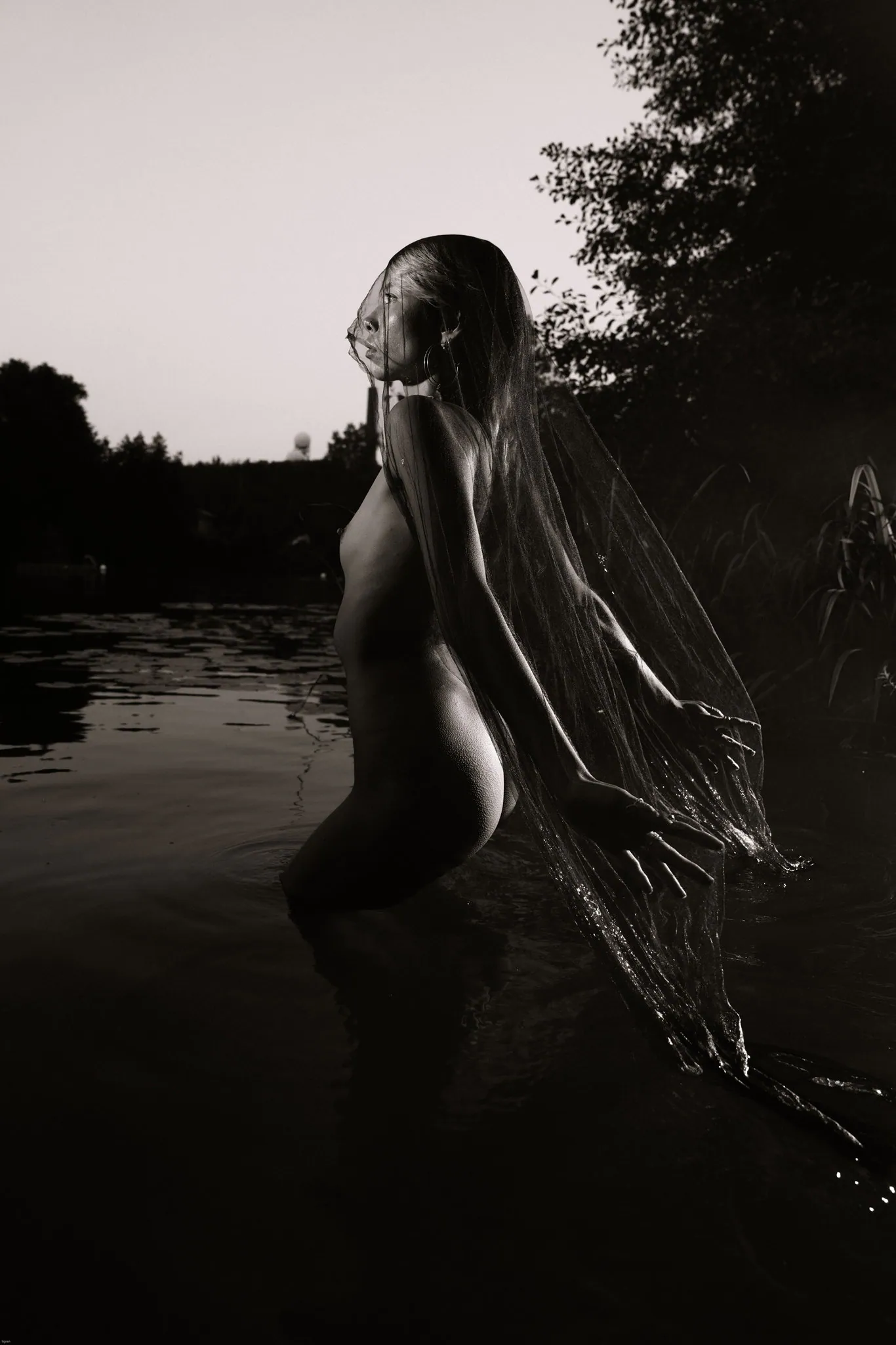Acid Rose, Berlin. Photograph 14 by Tigran Hovhannisyan.