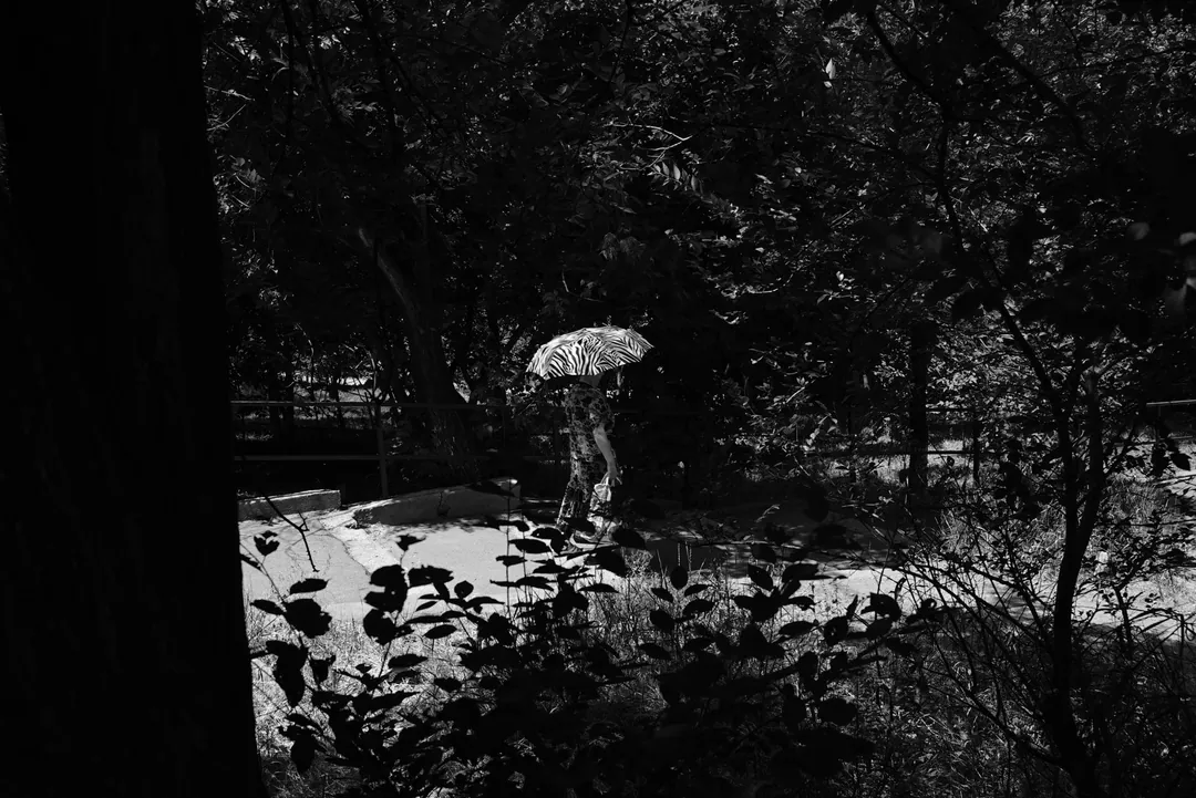 Berlin-Mitte, Berlin and elsewhere. Photograph 35 by Tigran Hovhannisyan.