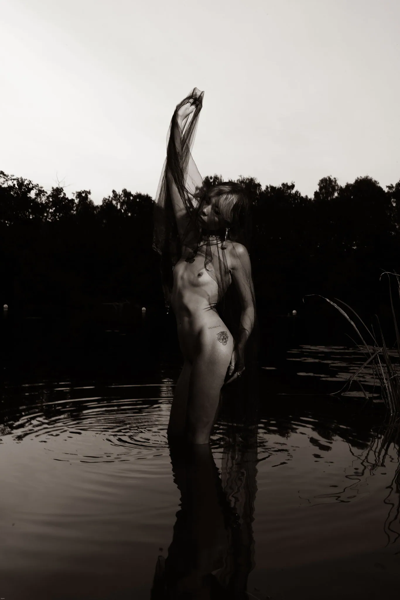 Acid Rose, Berlin. Photograph 10 by Tigran Hovhannisyan.